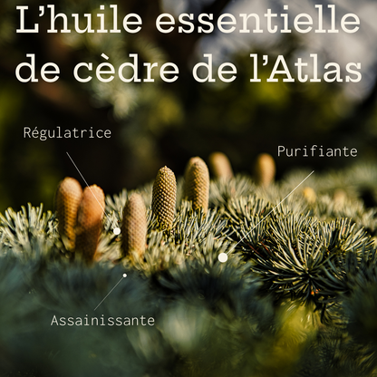 Shampoing solide à l'argile verte & au cèdre