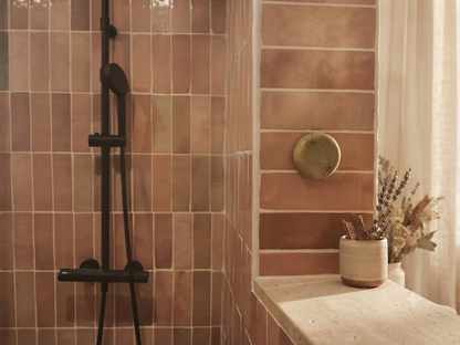 Porte-shampoing magnétique