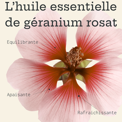 Shampoing solide à l'argile rose & géranium